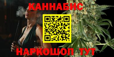 прущие грибы Гатчина