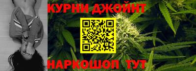 прущие грибы Гатчина
