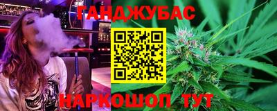 прущие грибы Гатчина