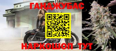 прущие грибы Гатчина