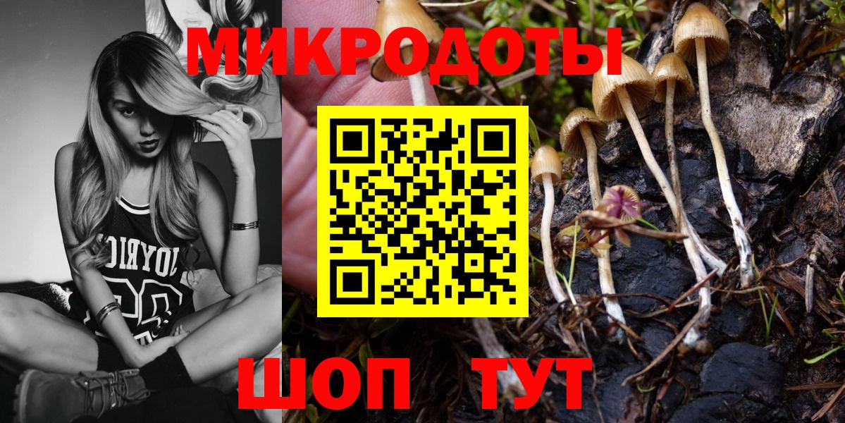 Псилоцибиновые грибы Psilocybe Назрань