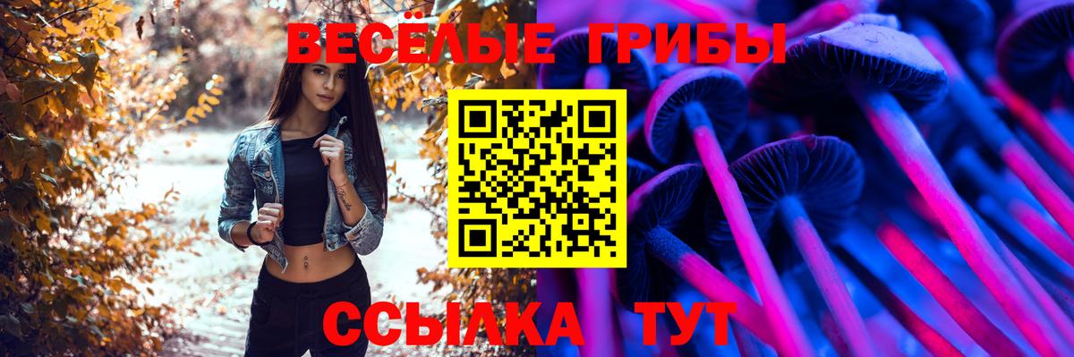 Галлюциногенные грибы Psilocybine cubensis  Галлюциногенные грибы GOLDEN TEACHER  где продают наркотики  Вход с VPN  Назрань 